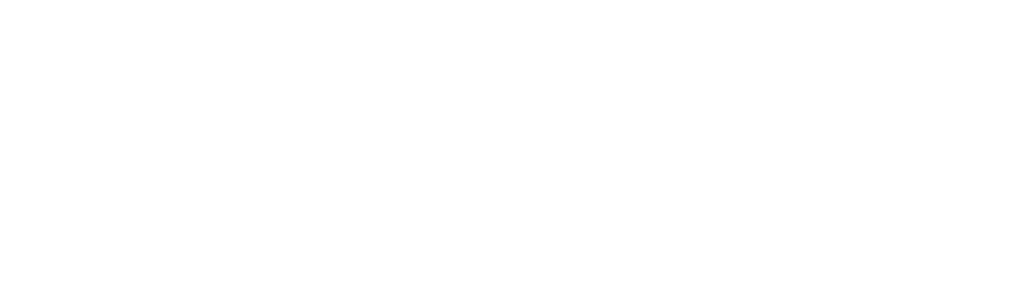 Home Instead logo